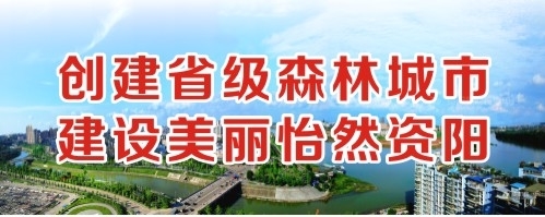 操粉穴在线创建省级森林城市 建设美丽怡然资阳